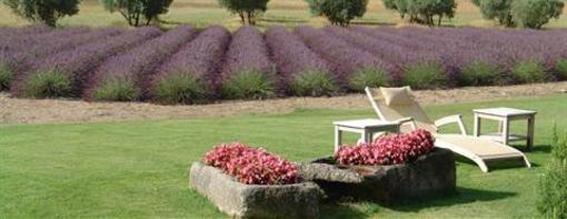 фото отеля Mas Collection Villas Saint-Remy-de-Provence