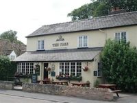 The Tree Guest House