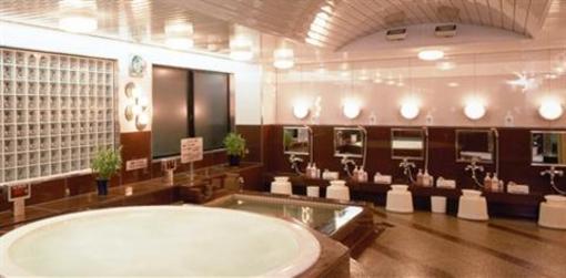 фото отеля Sauna and Capsule Hotel Holly Wood Ekimaecho