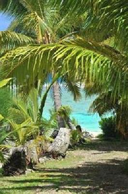 фото отеля The Cooks Oasis Holiday Villas Rarotonga