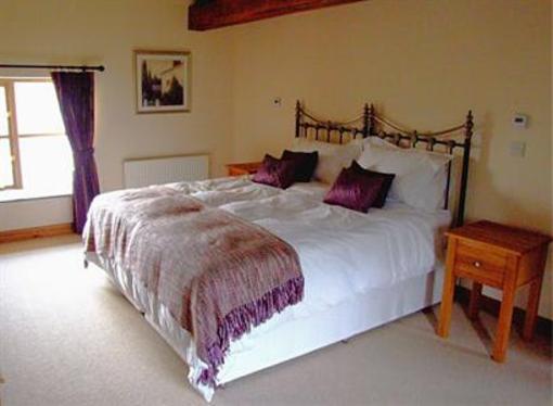 фото отеля The Fron Lodge Llangammarch Wells
