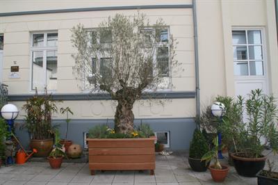 фото отеля Hotel am Kastell