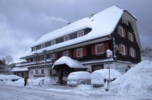 фото отеля Hotel Garni Silberdistel