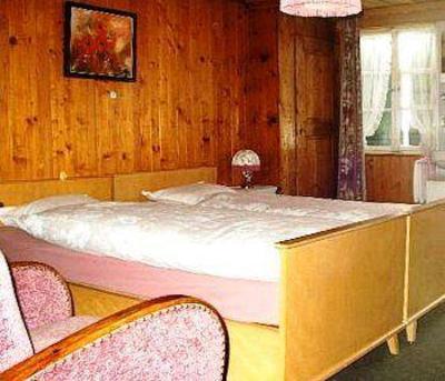 фото отеля Hotel Du Chamois Chateau-d'Oex (Switzerland)
