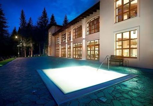 фото отеля ANA Hotel Poiana