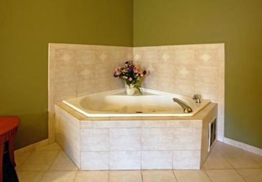 фото отеля Holiday Inn Express Hotel & Suites Charlotte Airport-Belmont
