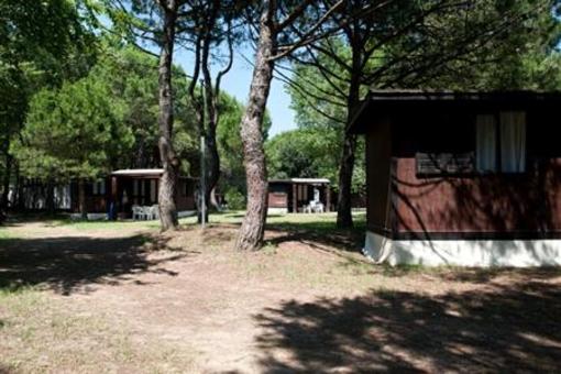 фото отеля Camping Ca' Savio