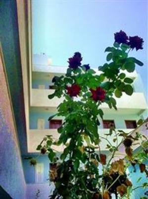 фото отеля Hotel Kos Bay
