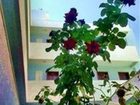 фото отеля Hotel Kos Bay