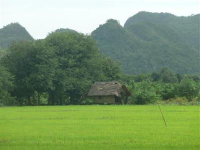 фото отеля Thai Garden Inn