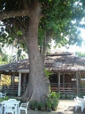 фото отеля Bahay Bakasyunan Sa Camiguin