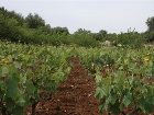 фото отеля La Terrazza del Quadrifoglio