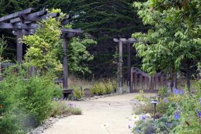фото отеля Seal Cove Inn Moss Beach