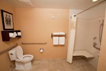 фото отеля Hampton Inn & Suites Mobile/Downtown