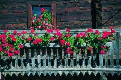 фото отеля Landhotel Post Heiligenblut