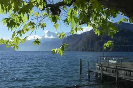 фото отеля Seehotel Waldstatterhof Brunnen