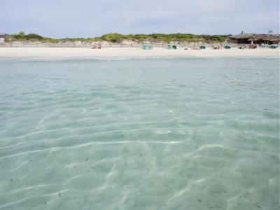 фото отеля Finca Sa Carrotja Farmhouse Ses Salines