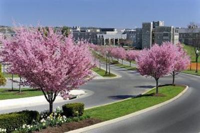 фото отеля The Virginia Tech Inn Blacksburg