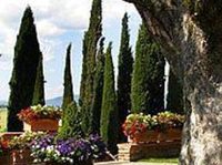 Borgo Tre Rose