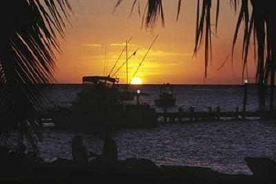 фото отеля Oualie Beach Resort Newcastle (Saint Kitts And Nevis)