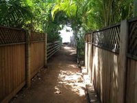 The Tiki Hale Hostel