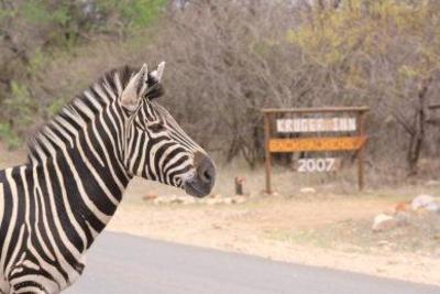 фото отеля Kruger Inn Backpackers