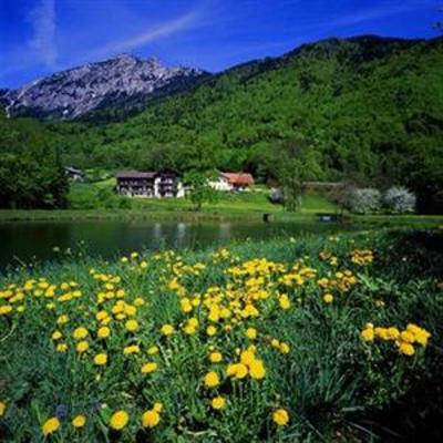 фото отеля Hotel Gablerhof