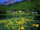 фото отеля Hotel Gablerhof