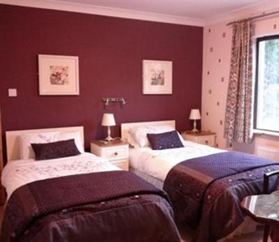 фото отеля Palm Lodge Mitchelstown