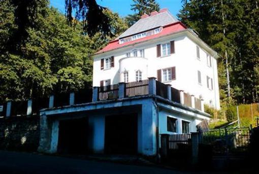 фото отеля Vila Orava Marianske Lazne