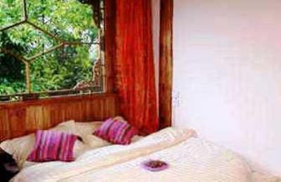 фото отеля Xinna Tribe Hostel