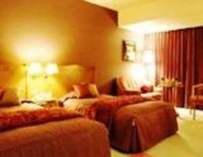 фото отеля Hotel Royal Hills Happoen