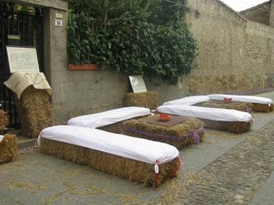 фото отеля Hotel Crocus