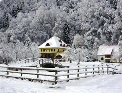 фото отеля Pension Cabana Dianthus