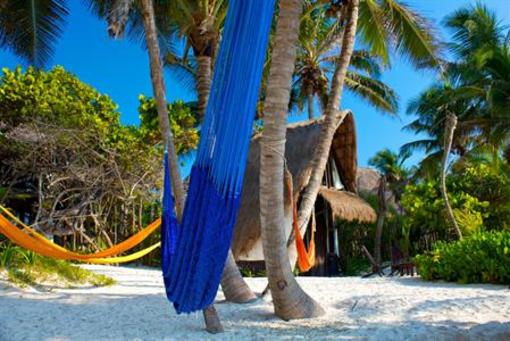фото отеля Playa Selva