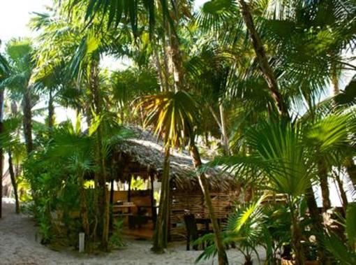фото отеля Playa Selva