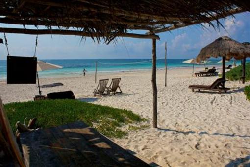 фото отеля Playa Selva