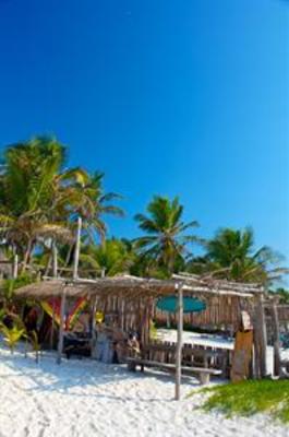 фото отеля Playa Selva