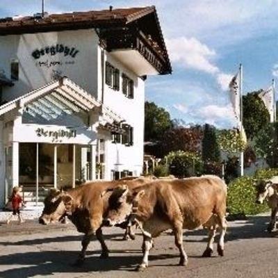 фото отеля Hotel Garni Bergidyll