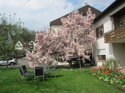 фото отеля Jaegerhof Hotel Garni