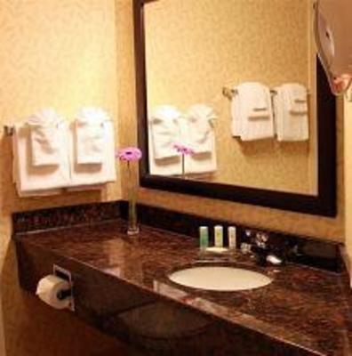 фото отеля Comfort Inn and Suites Ambassador Bridge