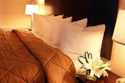 фото отеля Comfort Inn and Suites Ambassador Bridge