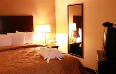 фото отеля Comfort Inn and Suites Ambassador Bridge