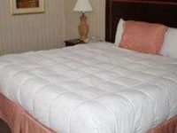 Home Suites Inn