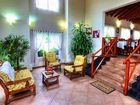 фото отеля Las Palmeras Apartments