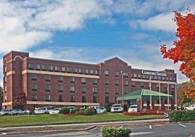 фото отеля Comfort Suites Biltmore Asheville