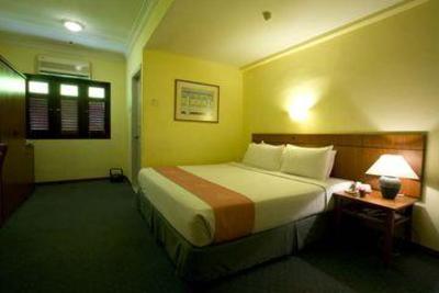 фото отеля Hotel Puri