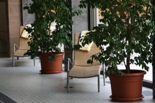 фото отеля Hotel Seelust Cuxhaven