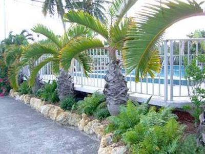 фото отеля Sea Dell Motel