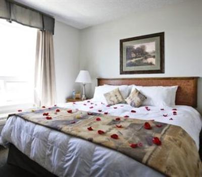 фото отеля Service Plus Inns & Suites Drayton Valley